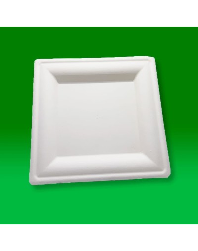Plato de 26 cm cuadrados 
