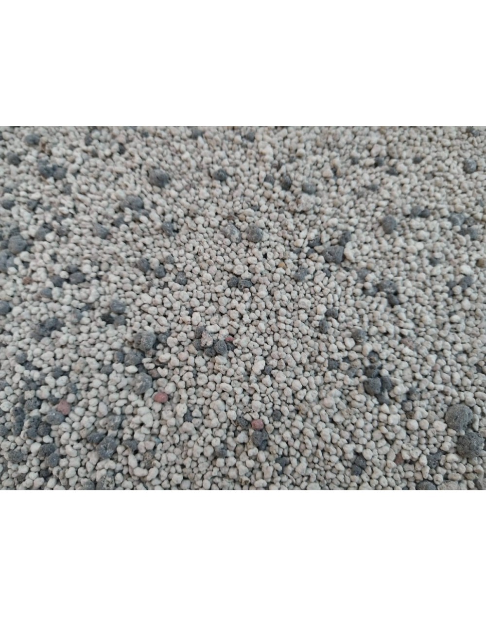 Arena para Gato Silvestre Carbón Activado