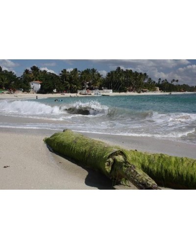  Mayo para Madres en Juan Dolio, República Dominicana