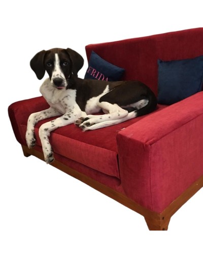 Cama para perro o gato modelo Sofa Classic
