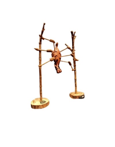 Araña hoja en madera