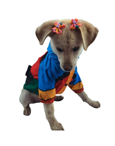 Chaqueta para perro