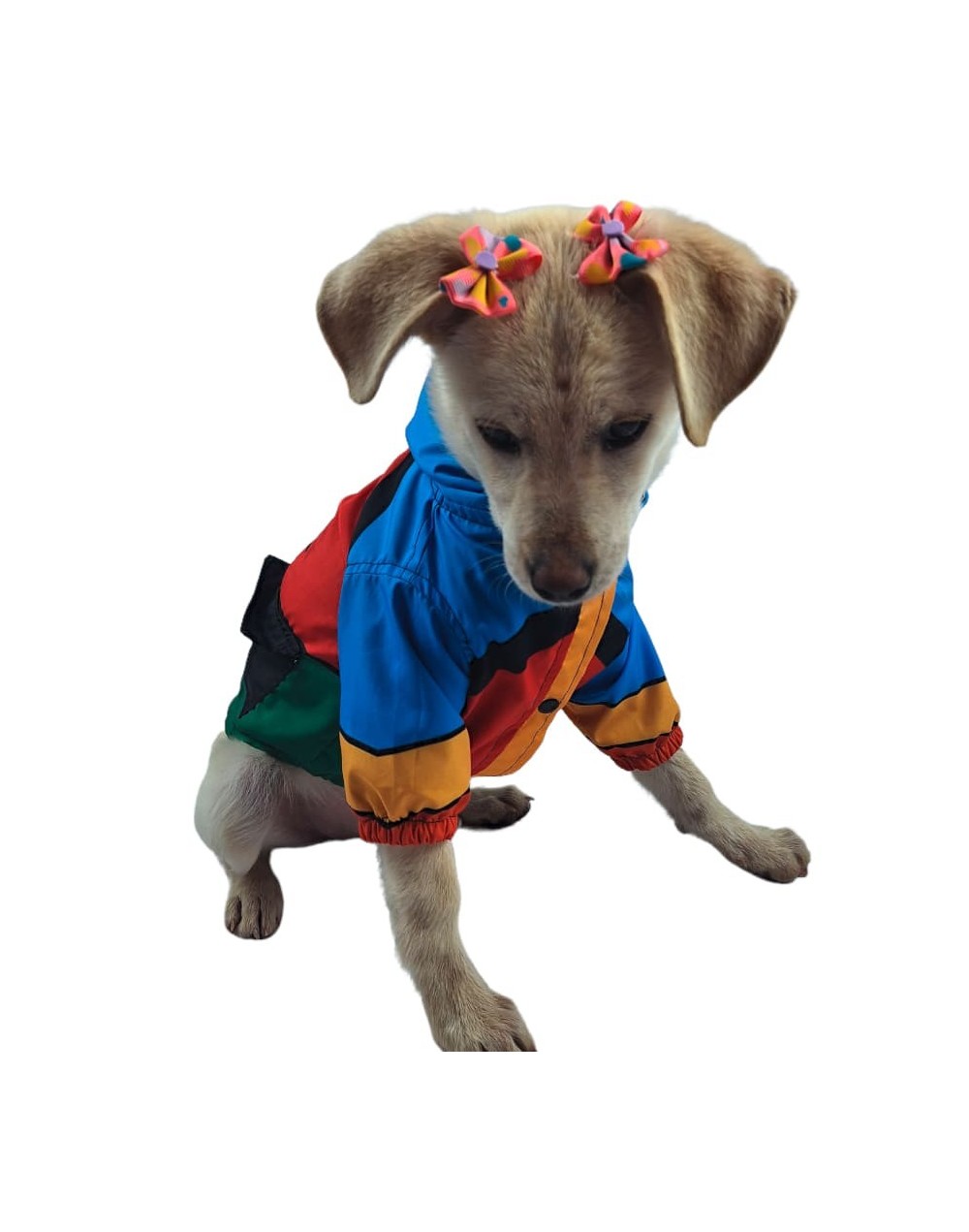 Chaqueta para perro