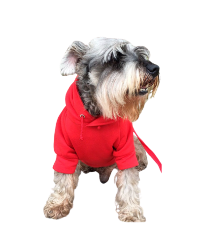 Hoodie Mascotas CaGlo