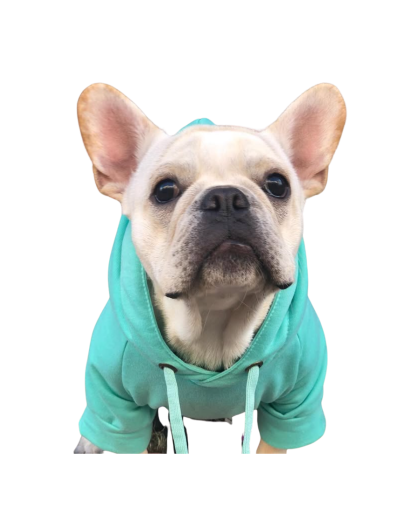 Hoodies CaGlo