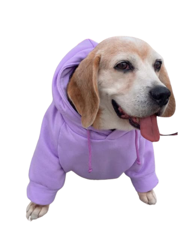 Hoodies CaGlo