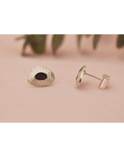 Topos Seeds
