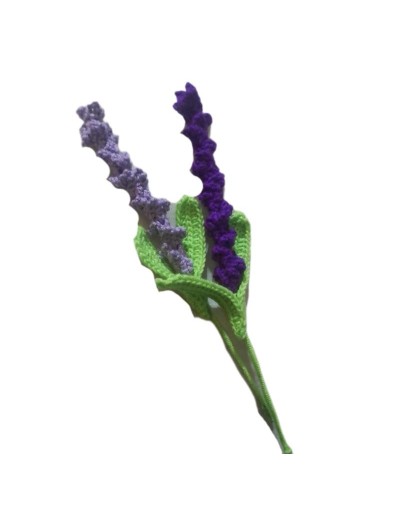 Flores eternas