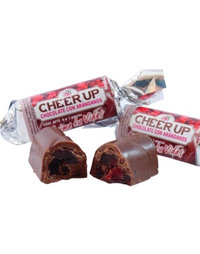 Chocolate con arándanos.