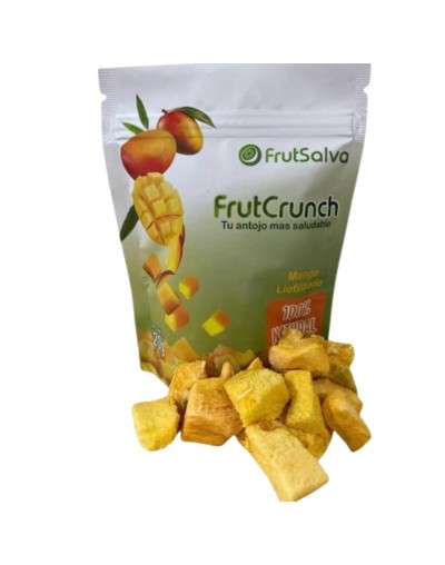 Snack Mango Liofilizado 20g