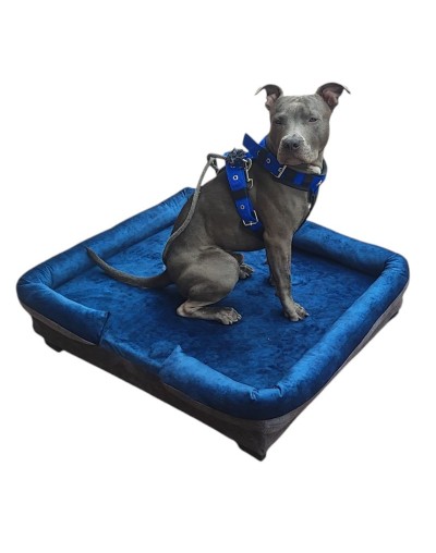 Genial Cama para perro o gato modelo Elemental