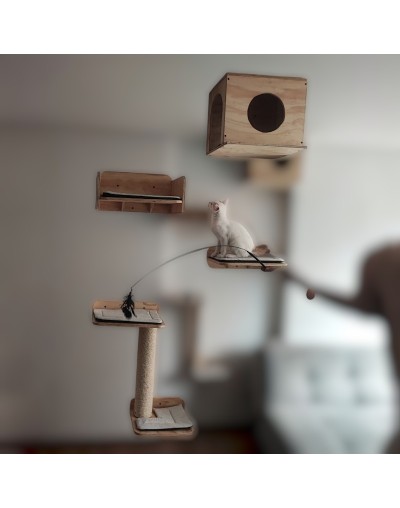 Combo Vigorosos Gimnasio Para Gatos Pared