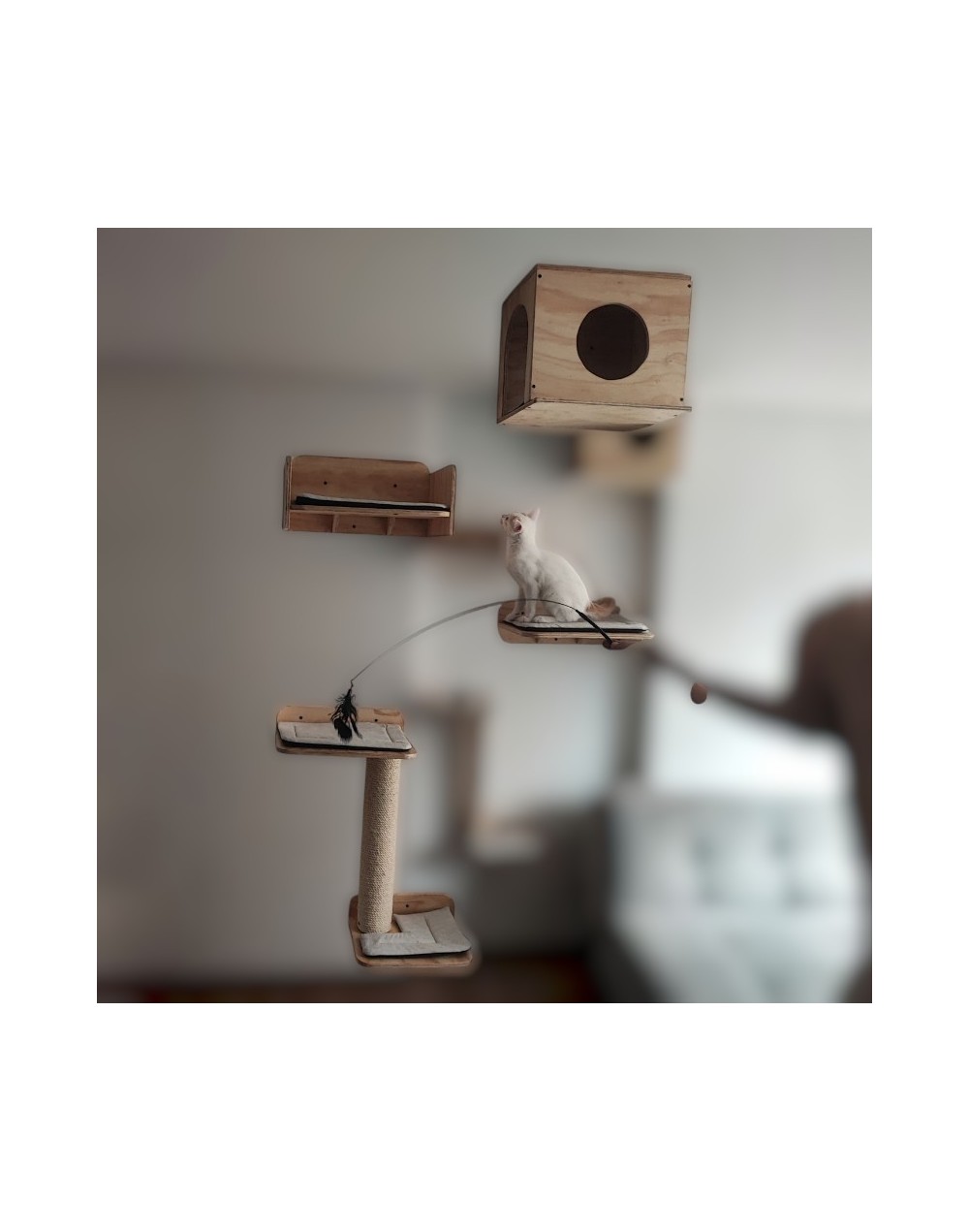 Combo Vigorosos Gimnasio Para Gatos Pared