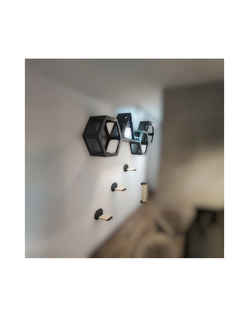 Combo Astutos Gimnasio Para Gatos Pared