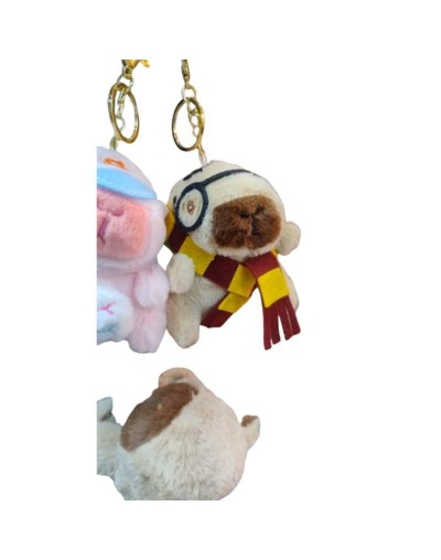 CAPIBARA