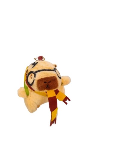 CAPIBARA