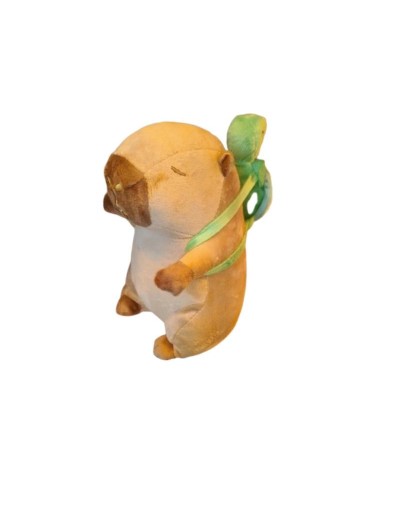 CAPIBARA