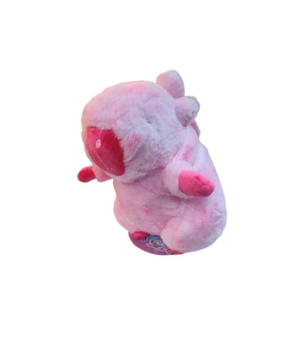 CAPIBARA