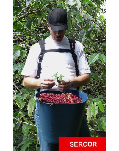 ARNÉS PARA RECOLECCION AGRÍCOLA