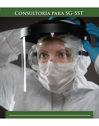 CONSULTORÍA para Sistemas de Gestión de la Seguridad y Salud en el Trabajo SGSST