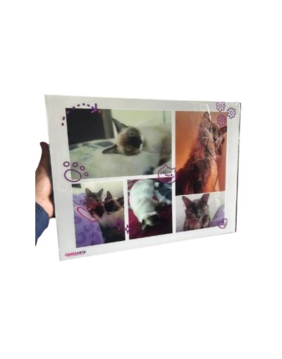 Cuadro Decorativo Personalizado En Resina Cerezarte 30x40 Cm