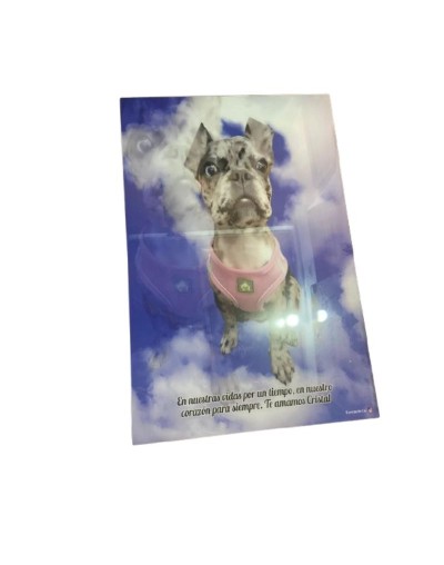 Cuadro Decorativo Personalizado En Resina 40x60 Cm