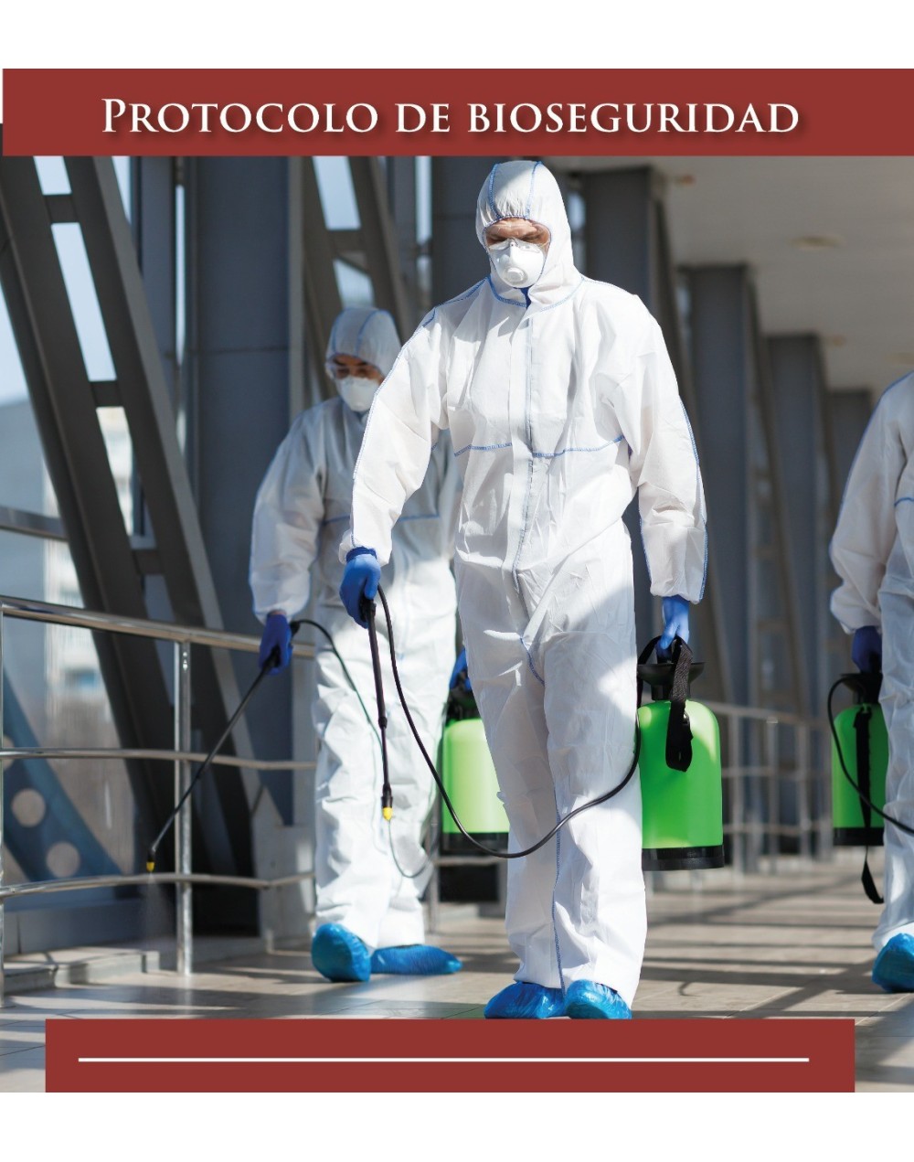 Curso Diseño de protocolos de bioseguridad en las organizaciones