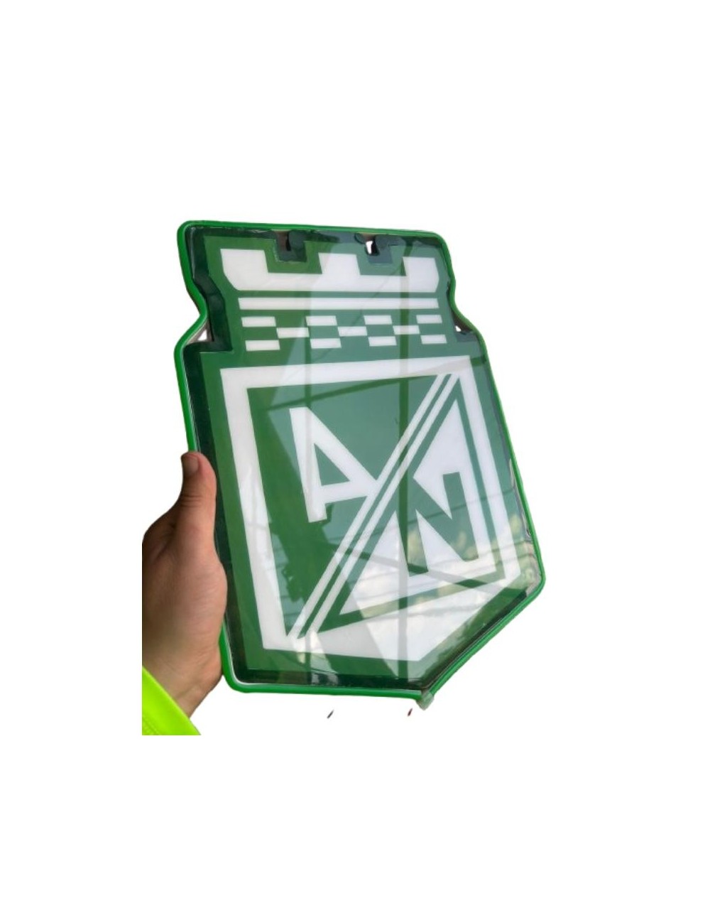 Cuadro Escudo Nacional Resina Luz Led 33x23 Cm