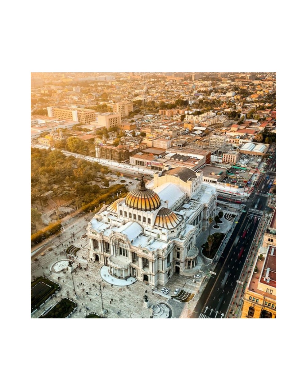Vive México