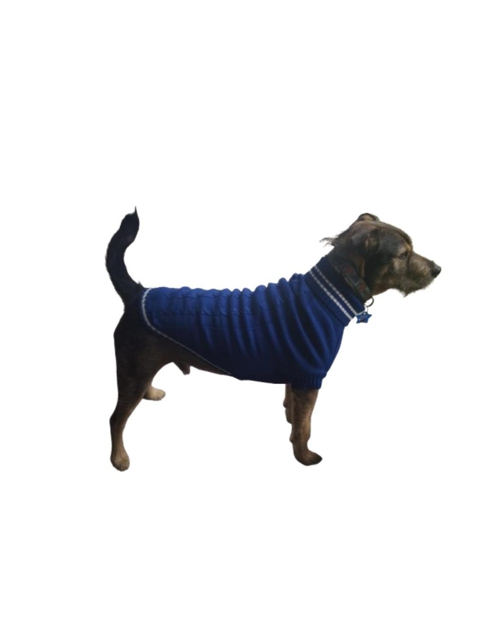 Sueter azul rey