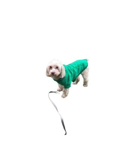 Sueter verde 