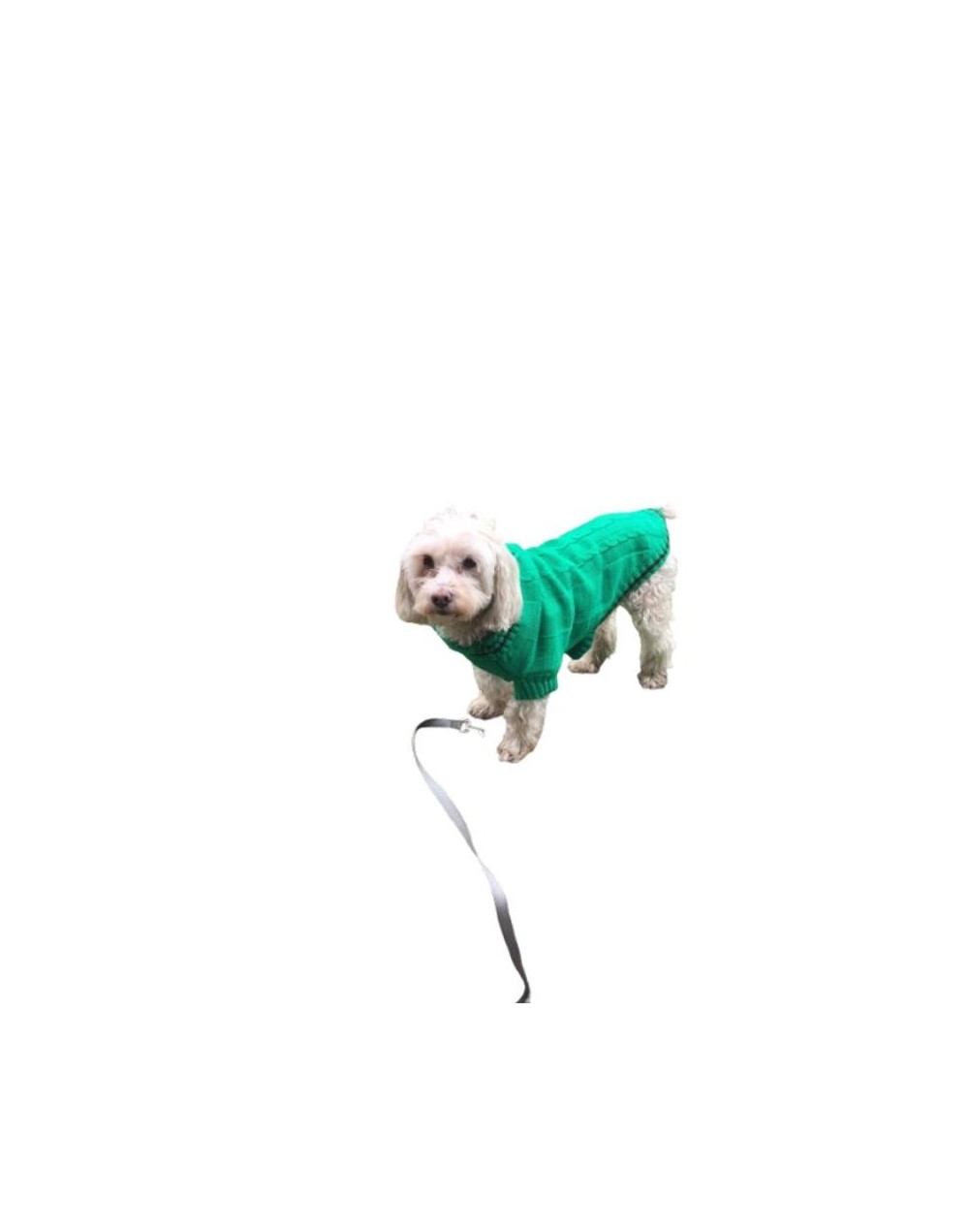 Sueter verde 