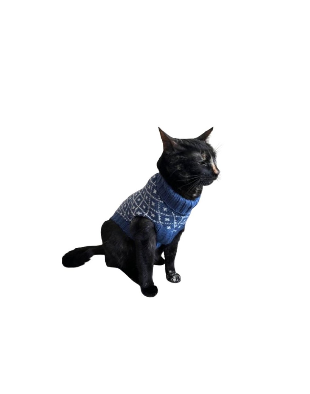 Sueter rombos gato