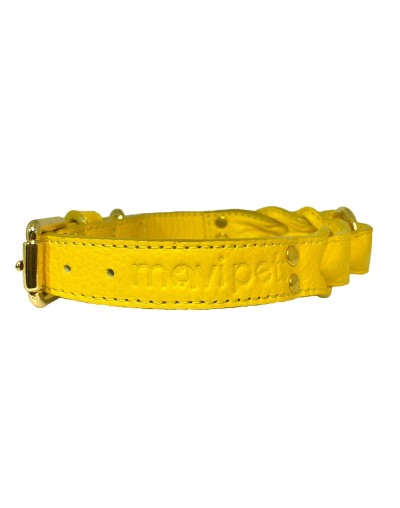 Collar de cuero