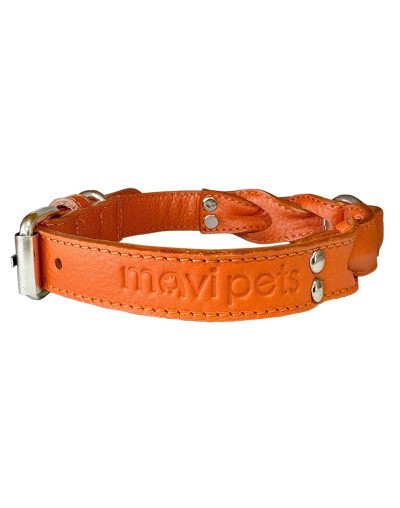 Collar de cuero