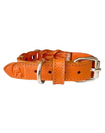 Collar de cuero