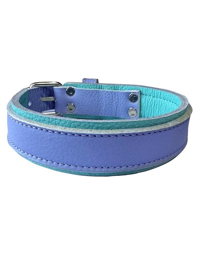 Collar de cuero