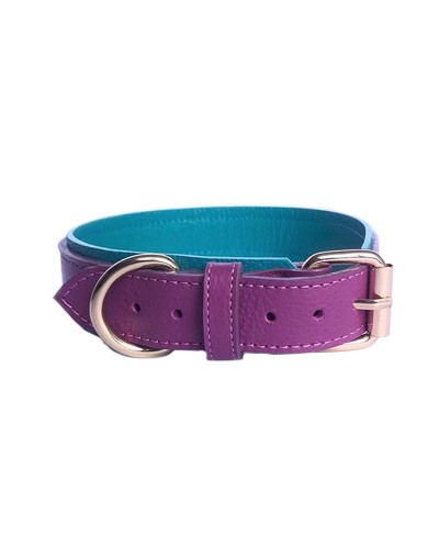 Collar de cuero