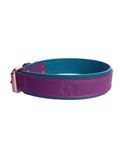 Collar de cuero