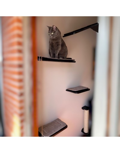 Combo Sútil Gimnasio Para Gatos Pared