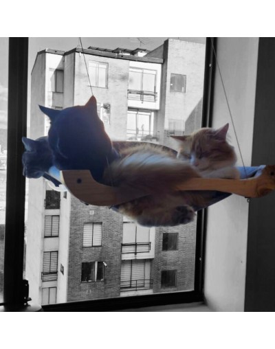 Indispensable Hamaca de ventana para gatos en madera
