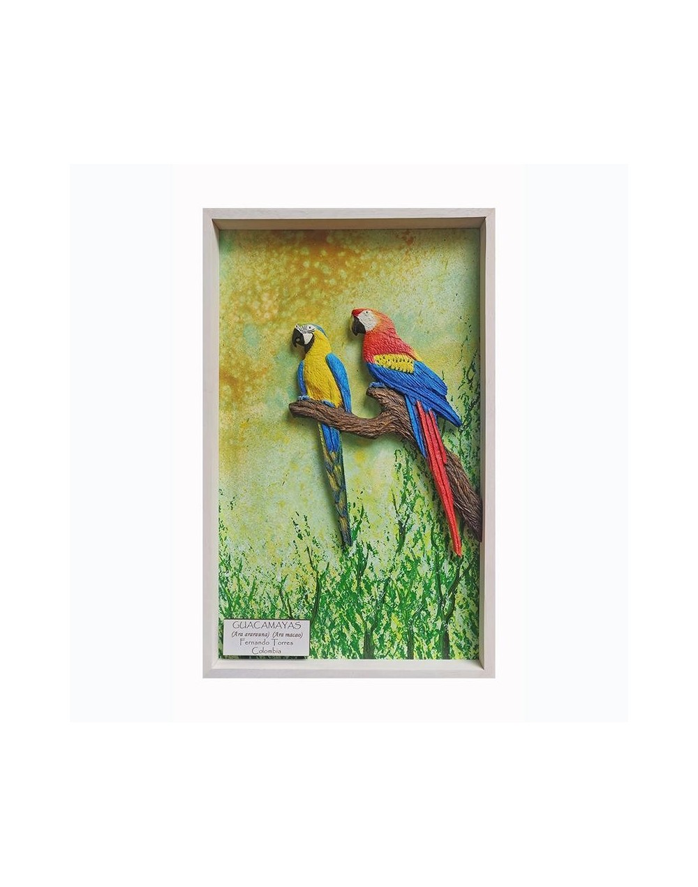 Pareja de guacamayas