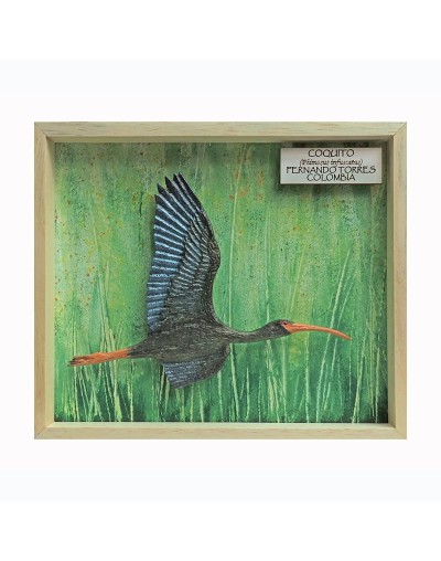 Ibis negro