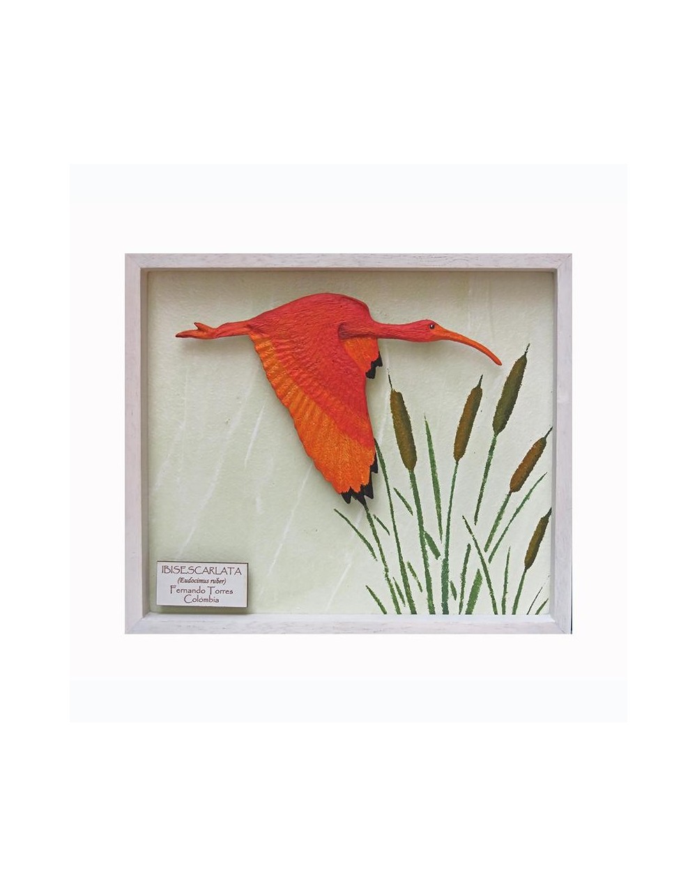 Ibis rojo