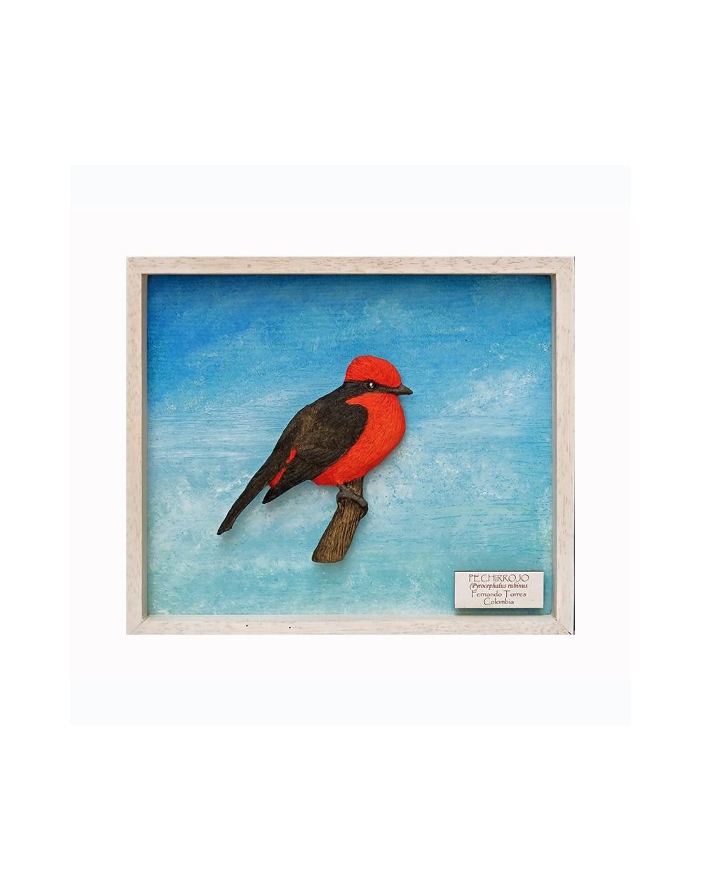 Pechirrojo