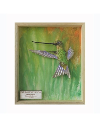 Colibrí Picoespada