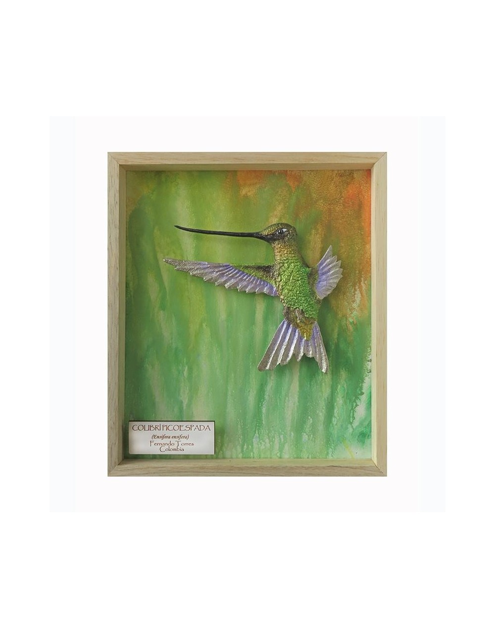 Colibrí Picoespada