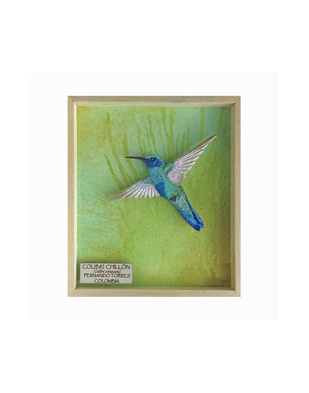 Colibrí Chillón