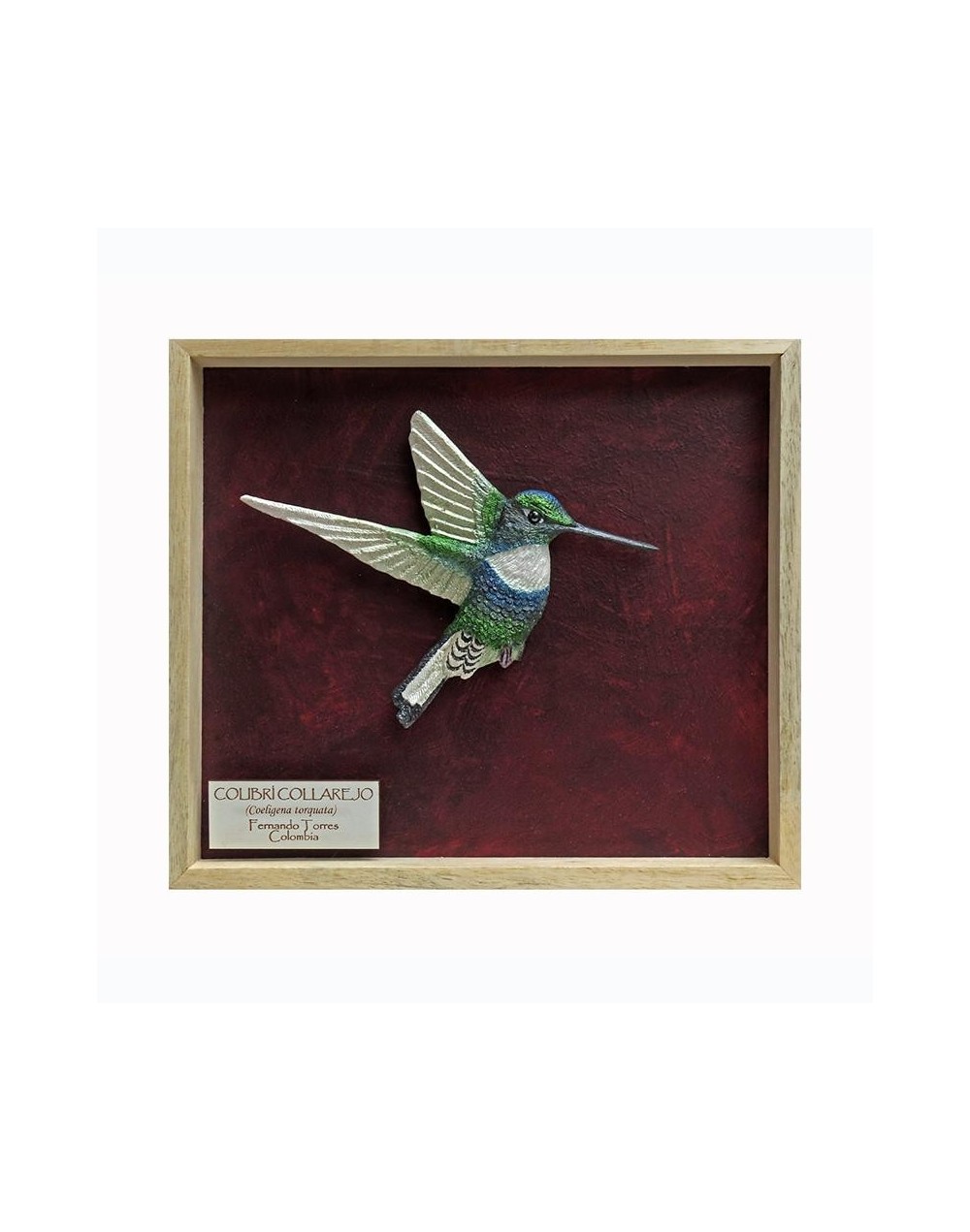Colibrí Collarejo