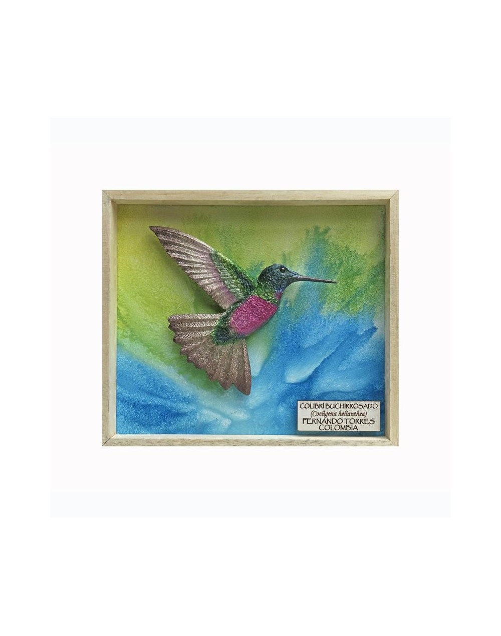 Colibrí Buchirrosa